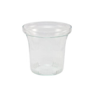 Filter aus Glas Pretty Tea - 4