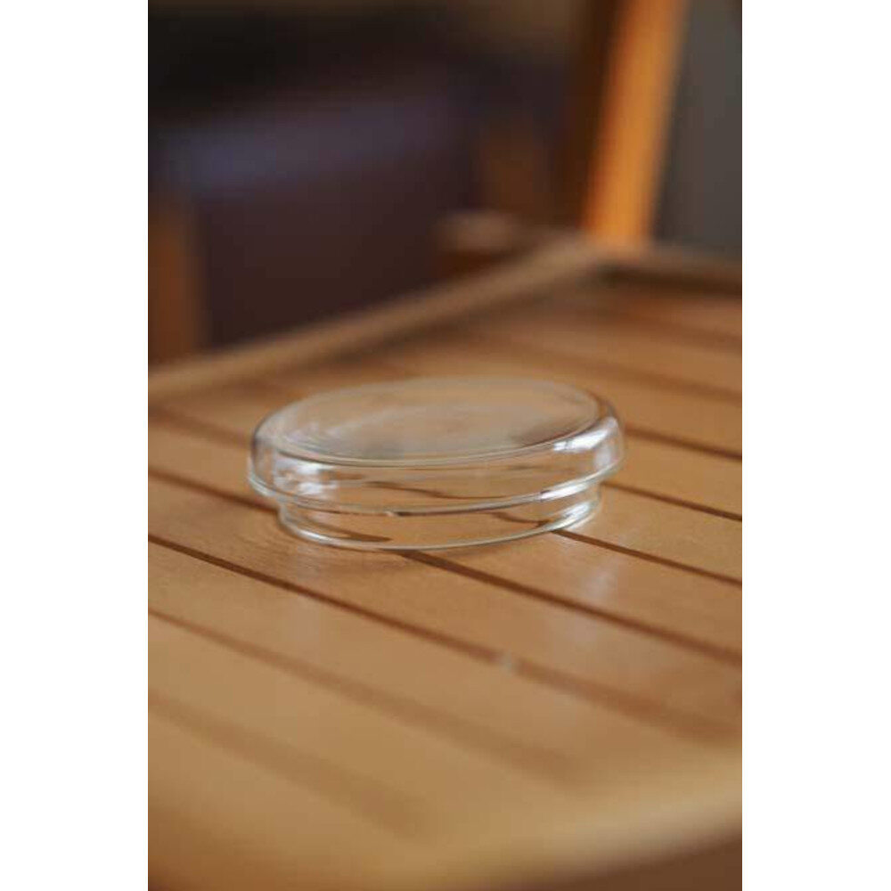 Glasdeckel flach - 2